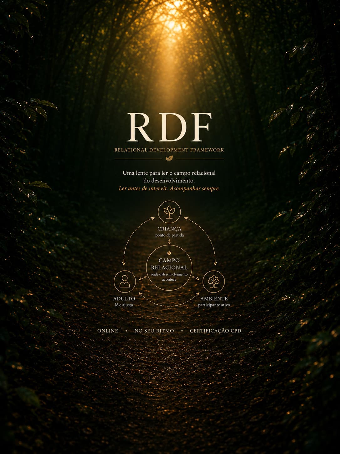 Relational Development Framework (RDF) — uma nova forma de olhar o desenvolvimento